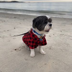 Meet your Posher, Reynaldo